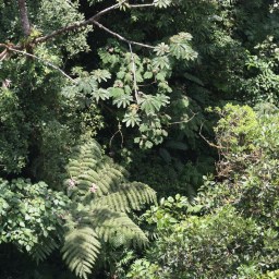 Monteverde Rustic Lodge + How We Choose Where To Stay