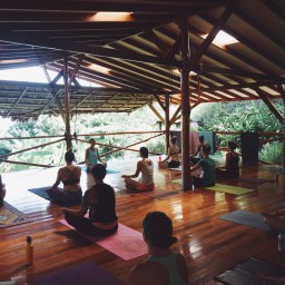 The Yoga Farm