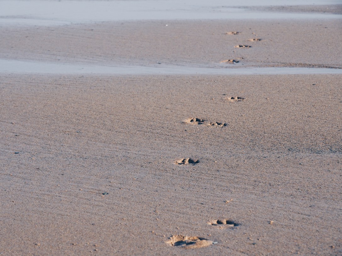 Processed with VSCO with hb1 preset