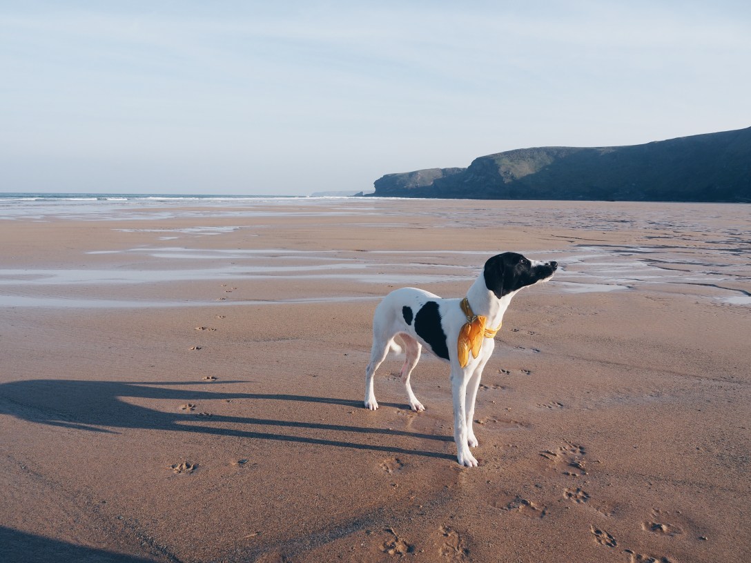 Processed with VSCO with hb1 preset