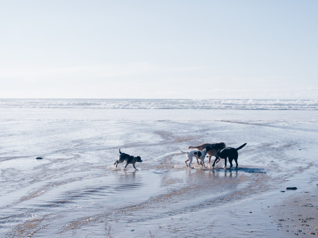 Processed with VSCO with hb1 preset