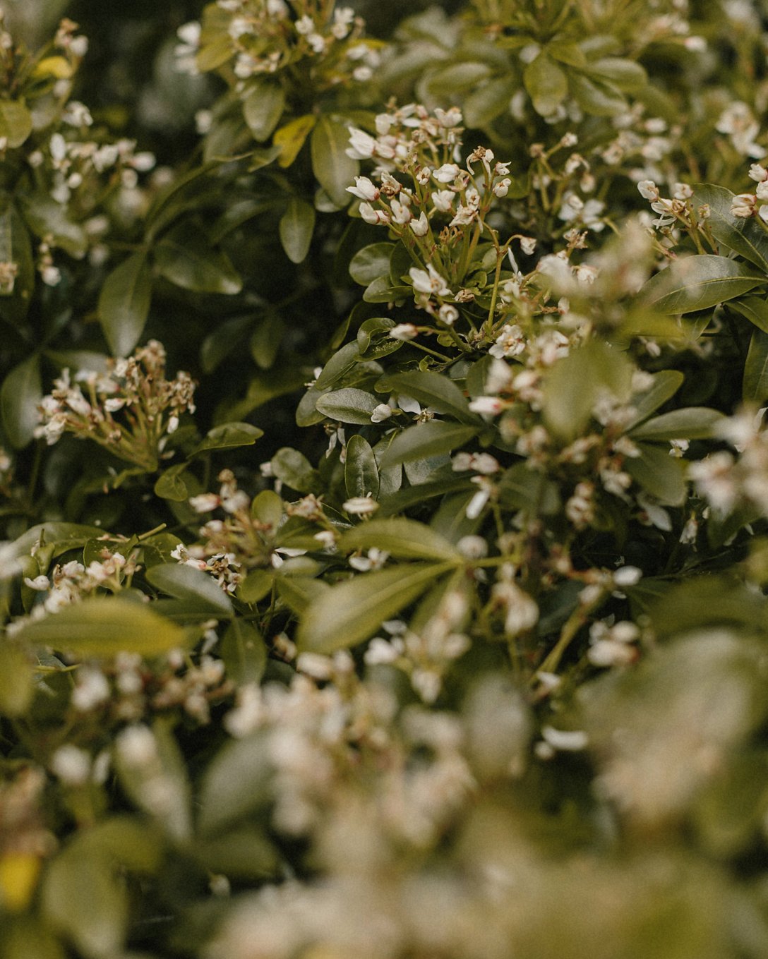 Brecon-Beacons-sunrise-couple-shoot-167